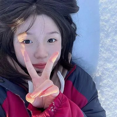 雪山飞狐封面